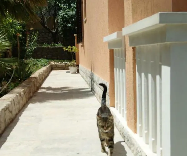 Ute Διαμέρισμα *